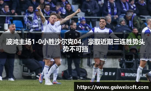 波鸿主场1-0小胜沙尔克04，豪取近期三连胜势头势不可挡