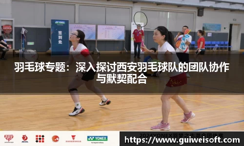 BoB半岛·体育中国官方网站