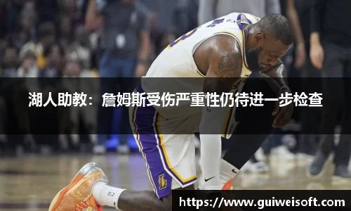 湖人助教：詹姆斯受伤严重性仍待进一步检查
