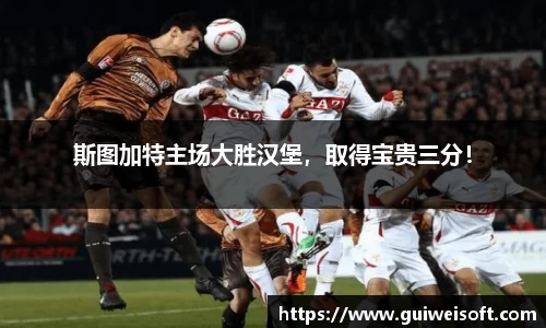 斯图加特主场大胜汉堡，取得宝贵三分！