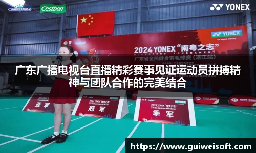 广东广播电视台直播精彩赛事见证运动员拼搏精神与团队合作的完美结合