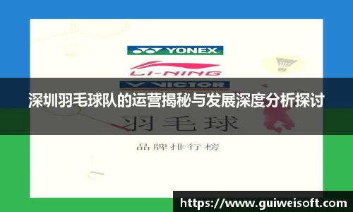 深圳羽毛球队的运营揭秘与发展深度分析探讨