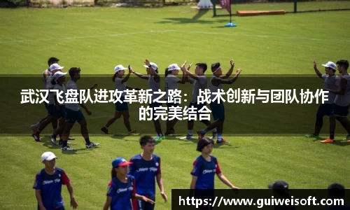 武汉飞盘队进攻革新之路：战术创新与团队协作的完美结合