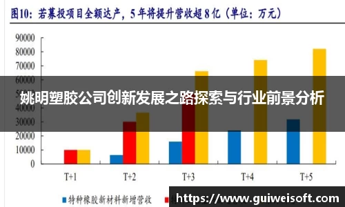 姚明塑胶公司创新发展之路探索与行业前景分析