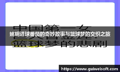 姚明进球番茄的奇妙故事与篮球梦的交织之旅