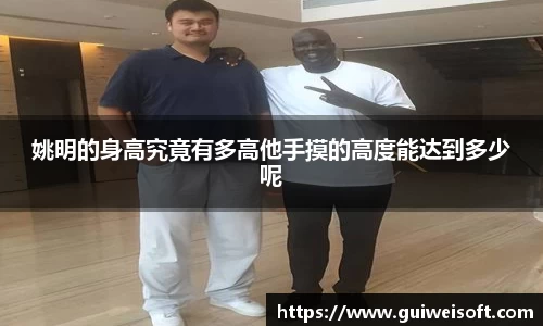 BoB半岛·体育中国官方网站