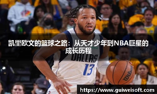 BoB半岛·体育中国官方网站
