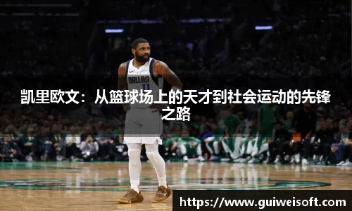 BoB半岛·体育中国官方网站